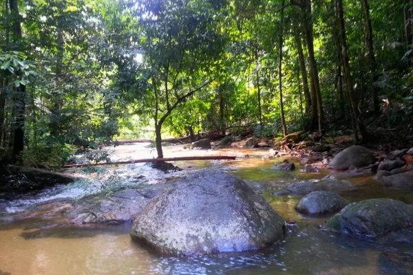 Sumber: Google Places (©2026) #3