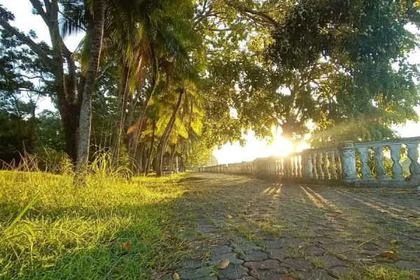 Sumber: Google Places (©2026) #3