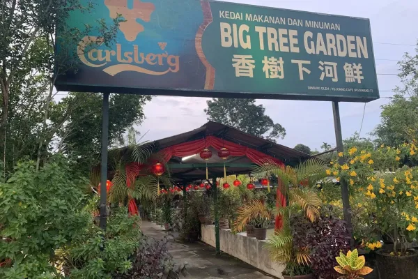 Big Tree Forest Corner