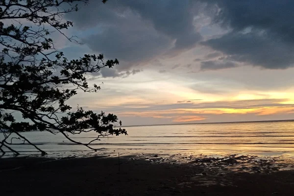 Sumber: Google Places (©2026) #3