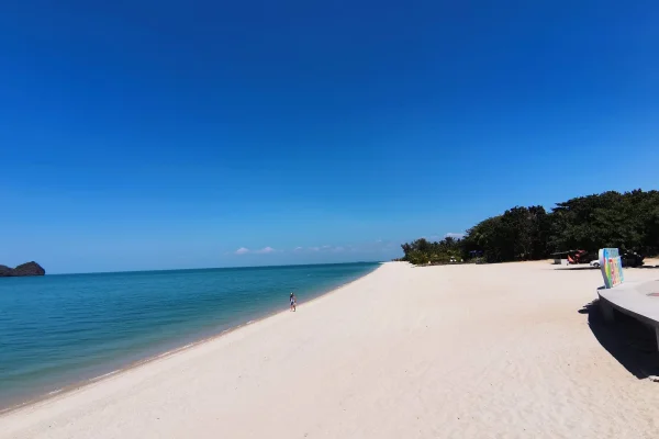 Sumber: Google Places (©2026) #3
