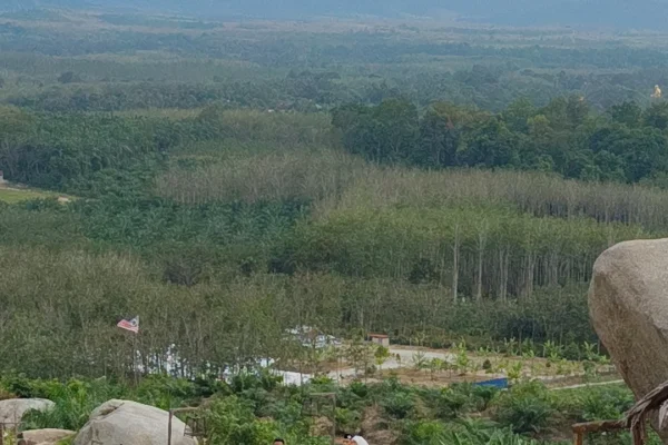 Sumber: Google Places (©2026) #2