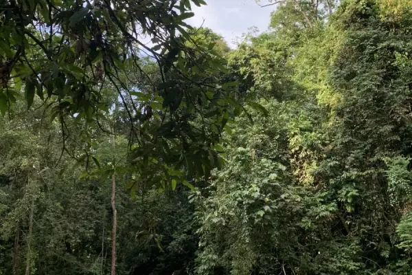 Sumber: Google Places (©2026) #2