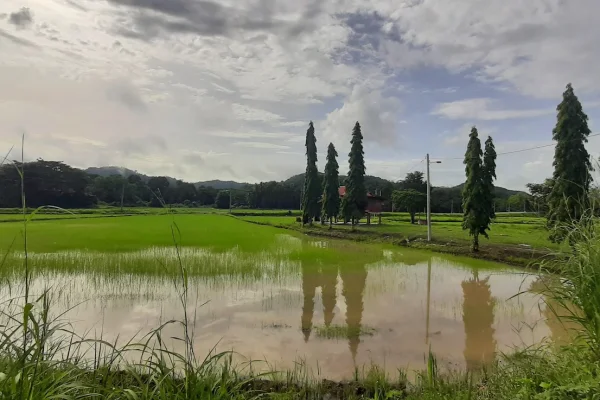 Sumber: Google Places (©2026) #2