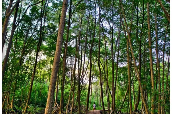 Sumber: Google Places (©2026) #2