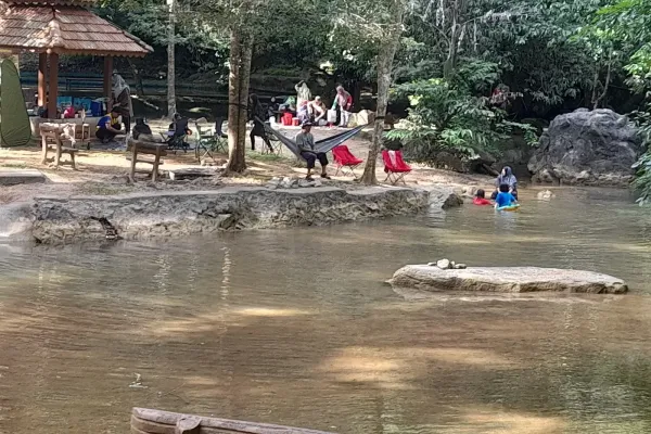 Resort Jungle