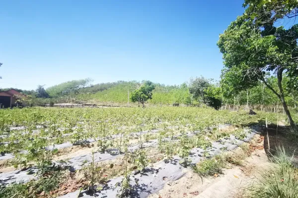Sumber: Google Places (©2026) #3