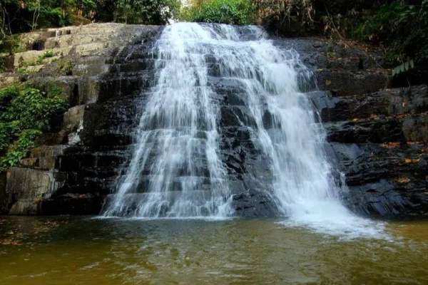 Hutan Rekreasi Bukit Hijau