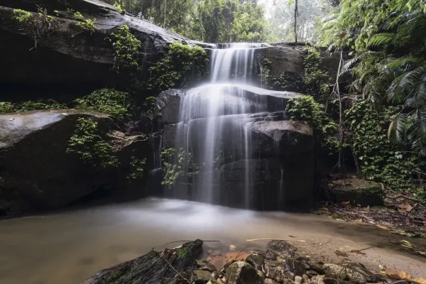 Hutan Rekreasi Tupah