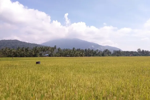 Sumber: Google Places (©2026) #3
