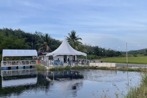Kafe Teringat Padi