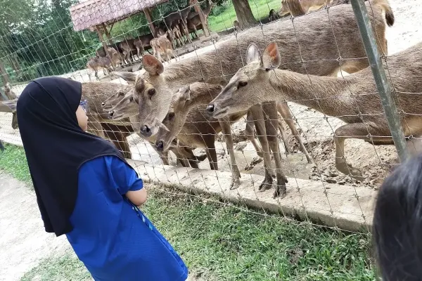 Sumber: Google Places (©2026) #3