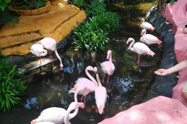 Taman Hidupan Liar Langkawi