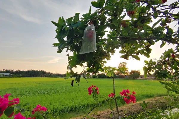 Sumber: Google Places (©2026) #2