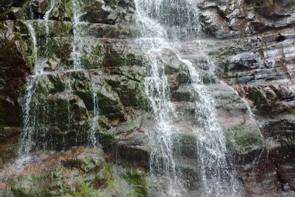 Sumber: Google Places (©2026) #3