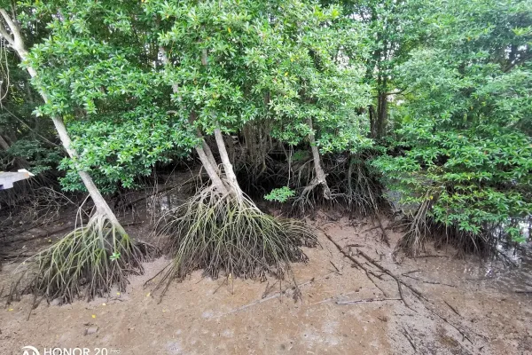 Sumber: Google Places (©2026) #2