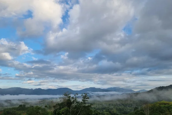 Kabut Laut Baling
