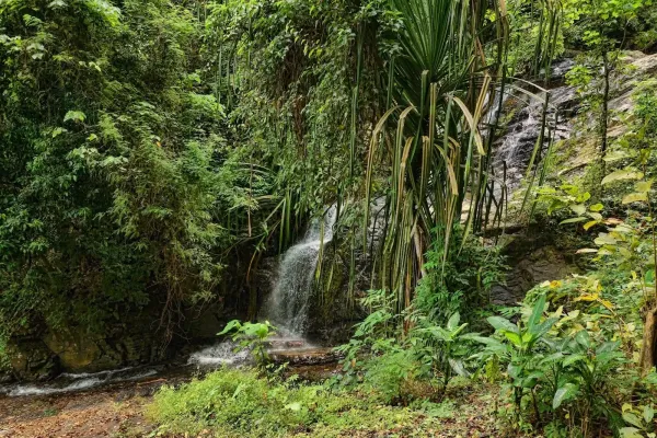 Sumber: Google Places (©2026) #3