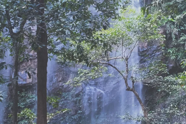 Sungai Kecik Bukit Perangin