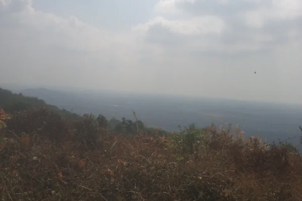 Sumber: Google Places (©2026) #3