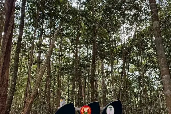 Sumber: Google Places (©2026) #3
