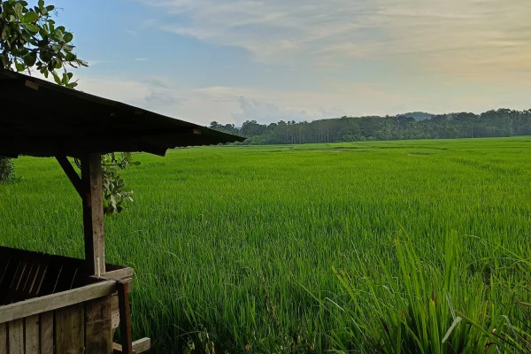 Teratak Pondok Paktih