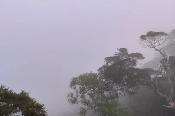 Gunung Jerai