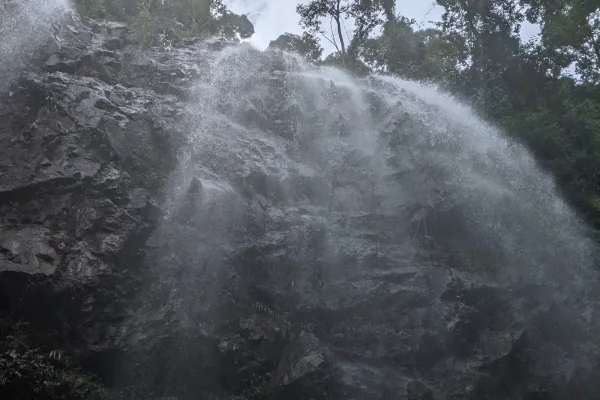 Sumber: Google Places (©2026) #3