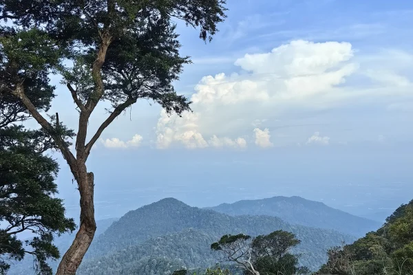 Viewpoint Yan