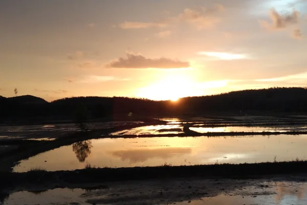 Sumber: Google Places (©2026) #3
