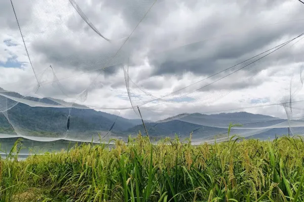 Sumber: Google Places (©2026) #3