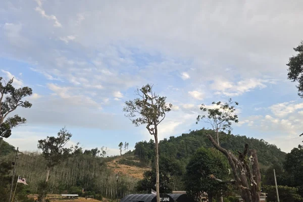 Sumber: Google Places (©2026) #3
