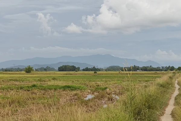 Sumber: Google Places (©2026) #2