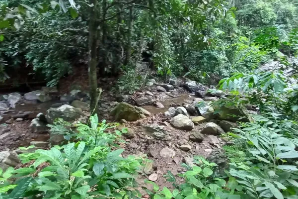Sumber: Google Places (©2026) #2