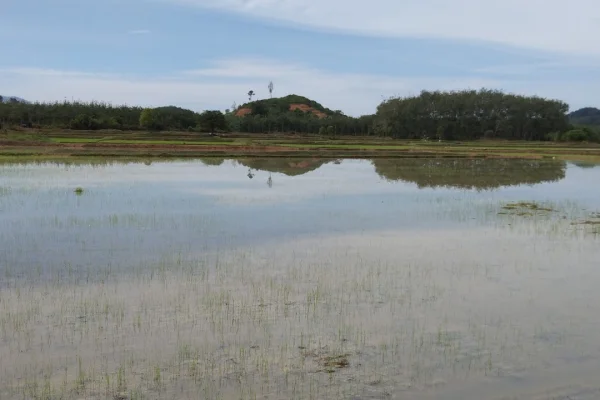 Taman Rekreasi Mueng Saiburi