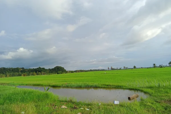 Sumber: Google Places (©2026) #2