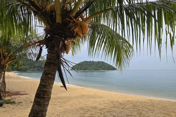 Sumber: Google Places (©2026) #2