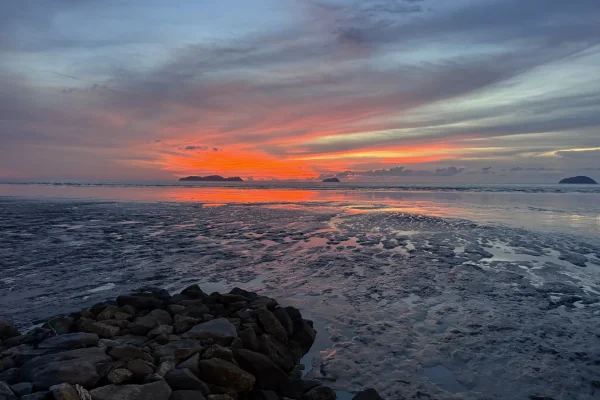 Sumber: Google Places (©2026) #3