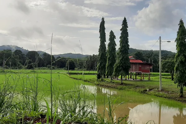 Mini Muzium Kampung Bendang Raja