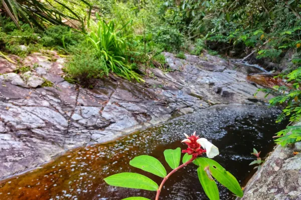 Sumber: Google Places (©2026) #3