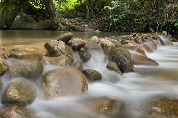 Sumber: Google Places (©2026) #2