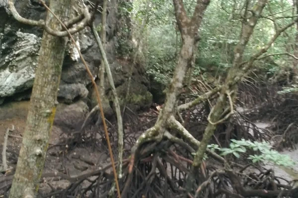 Sumber: Google Places (©2026) #3