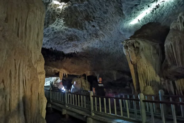 Sumber: Google Places (©2026) #2