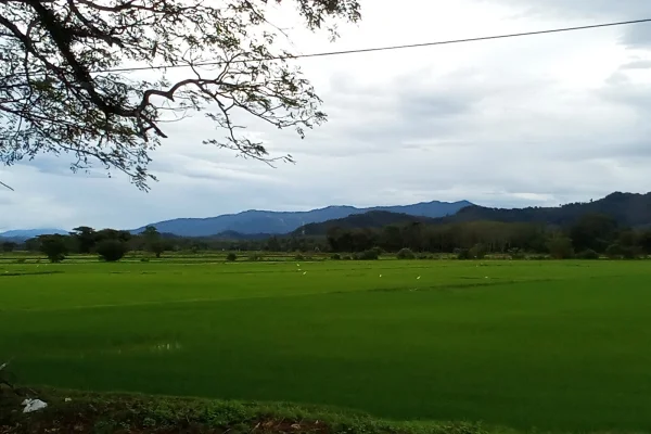 Sumber: Google Places (©2026) #2