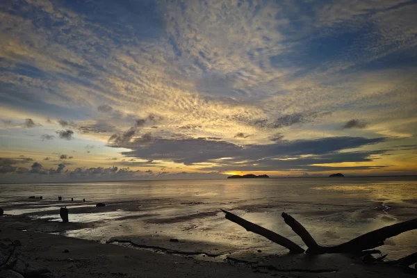 Sumber: Google Places (©2026) #2