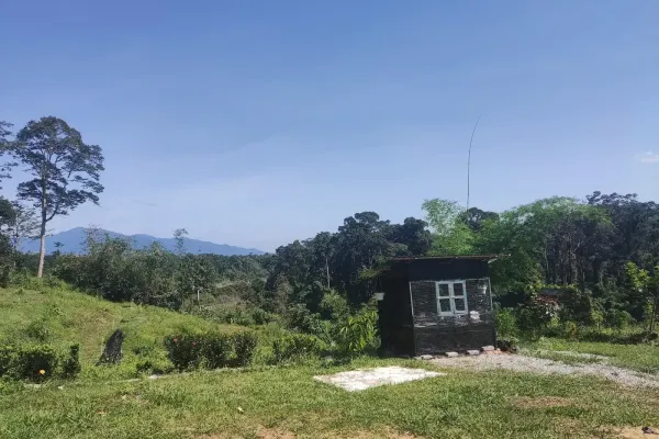 Kebun Tok Ayah
