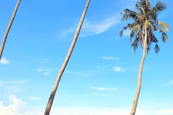 Pantai Teluk Aman