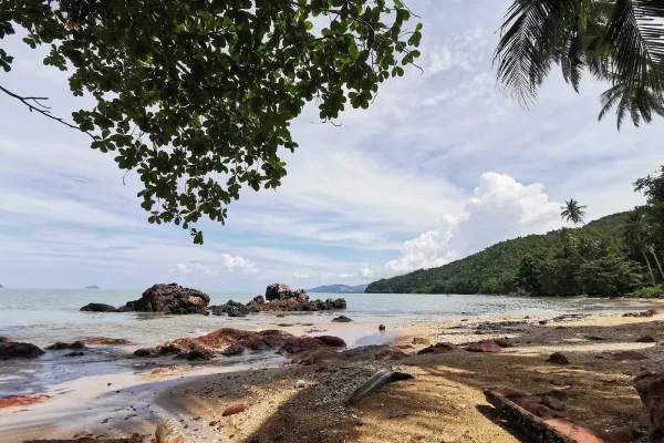 Sumber: Google Places (©2026) #2