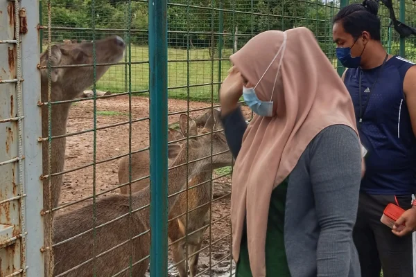 Pusat Ternakan Rusa Semeliang