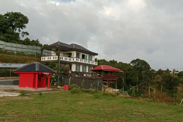 Oto Land